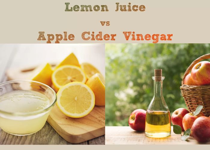 What Are the Health Benefits of Apple Cider Vinegar and Lemon Juice?